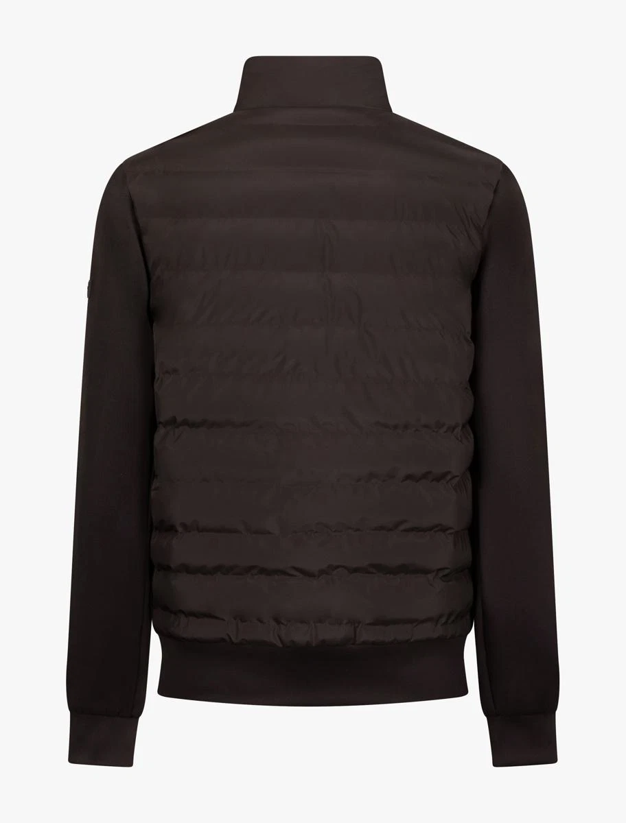 Cavallaro Jack 112265001 Bruin 2
