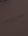 Cavallaro Sweater 120265001 Taupe 4