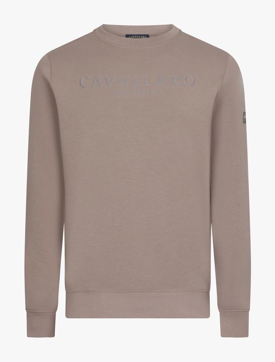 Cavallaro Sweater 120265007 Taupe 1