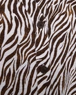 Freequent Blouse Mele Bruin 4