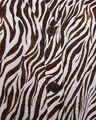 Freequent Blouse Mele Bruin 4