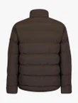 Cavallaro Jas 112265004 Bruin 5
