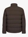 Cavallaro Jas 112265004 Bruin 5