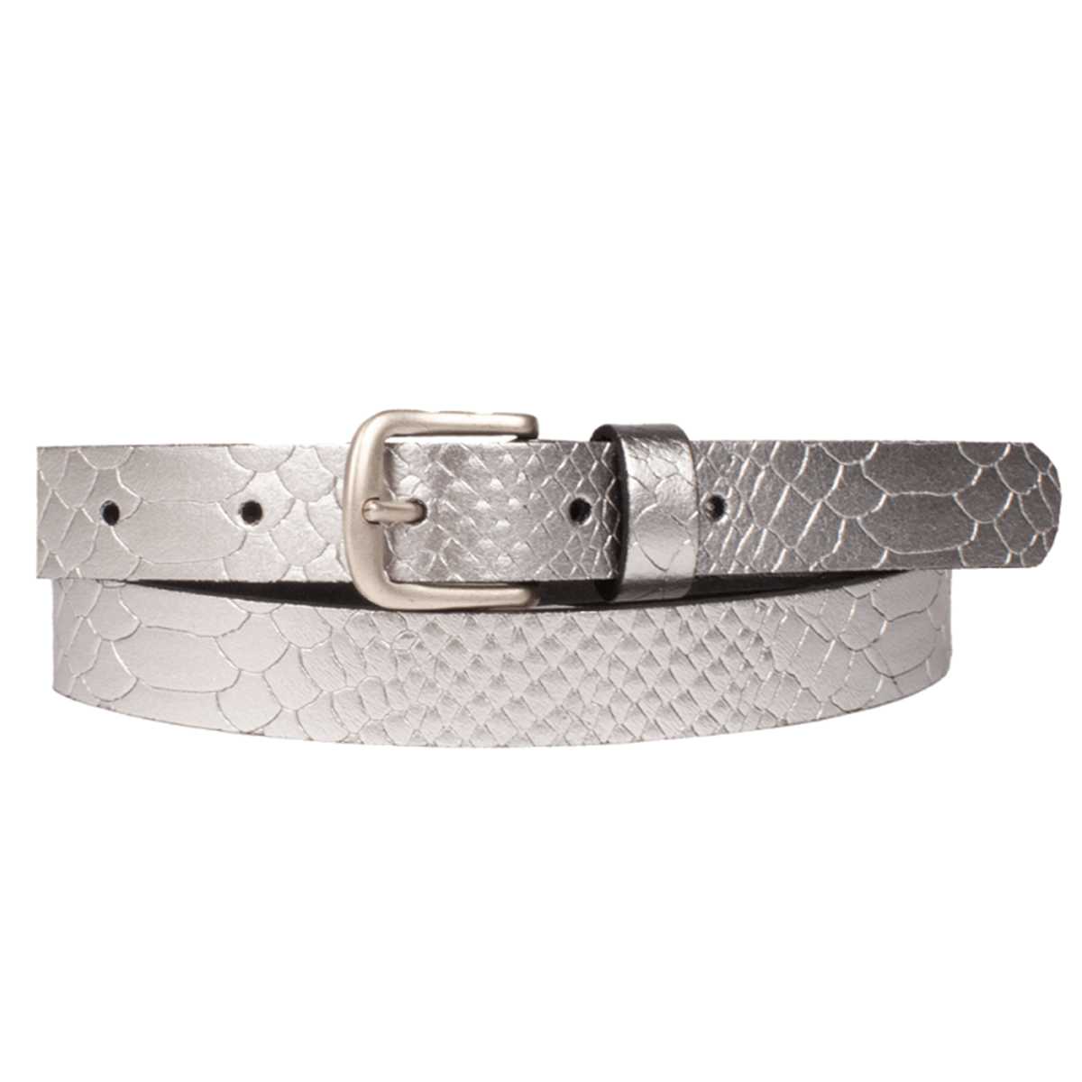 Legend Riem 25058 Zilver 1