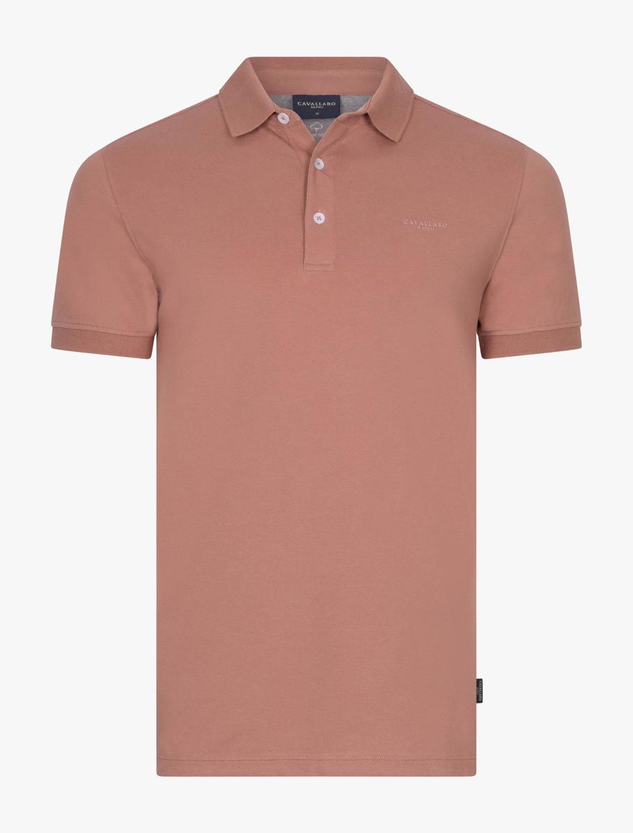 Polo Bavegio