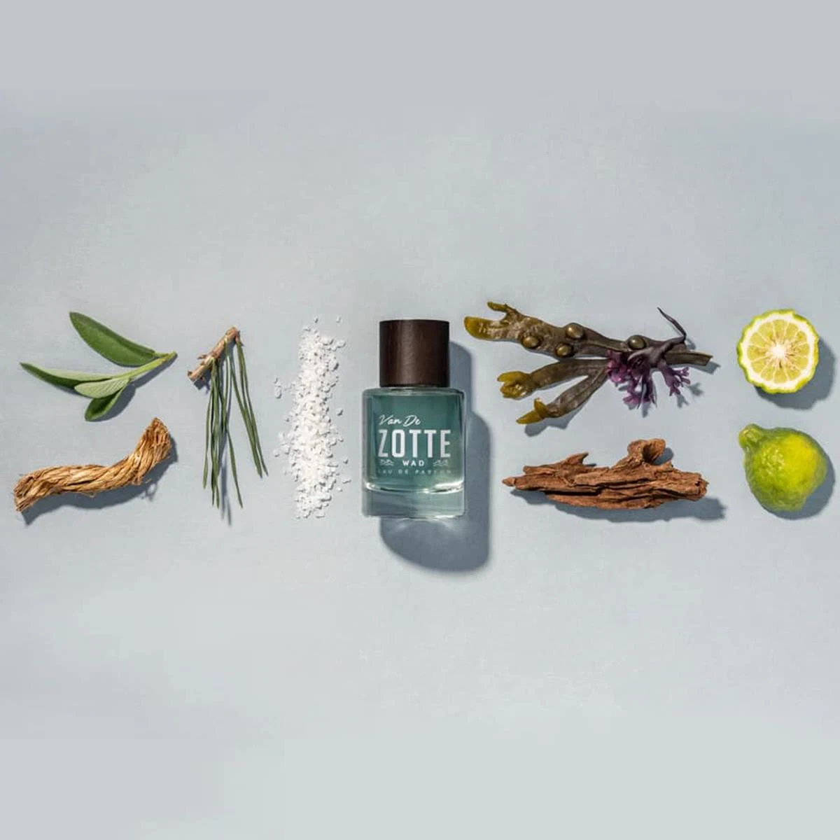 Van de Zotte Parfum Wad Blauw 3