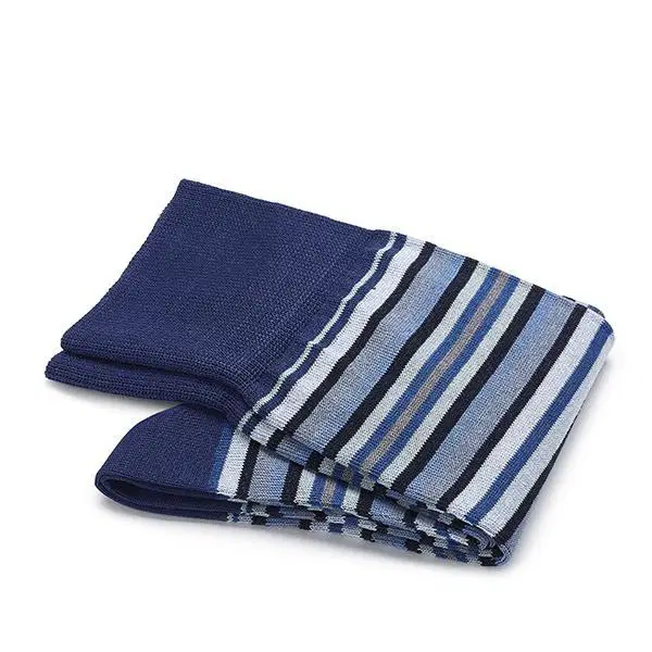 Carlo Lanza Sokken 103 Strisce d'Art Blauw 1