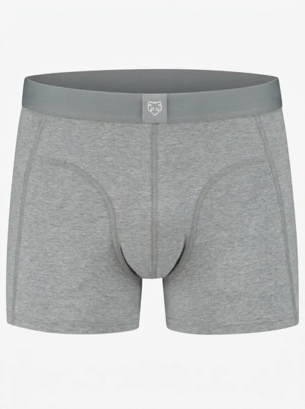 A-dam Boxershort Melo Mela Zilver 1