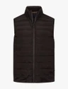 Cavallaro Bodywarmer 112265000 Bruin 1