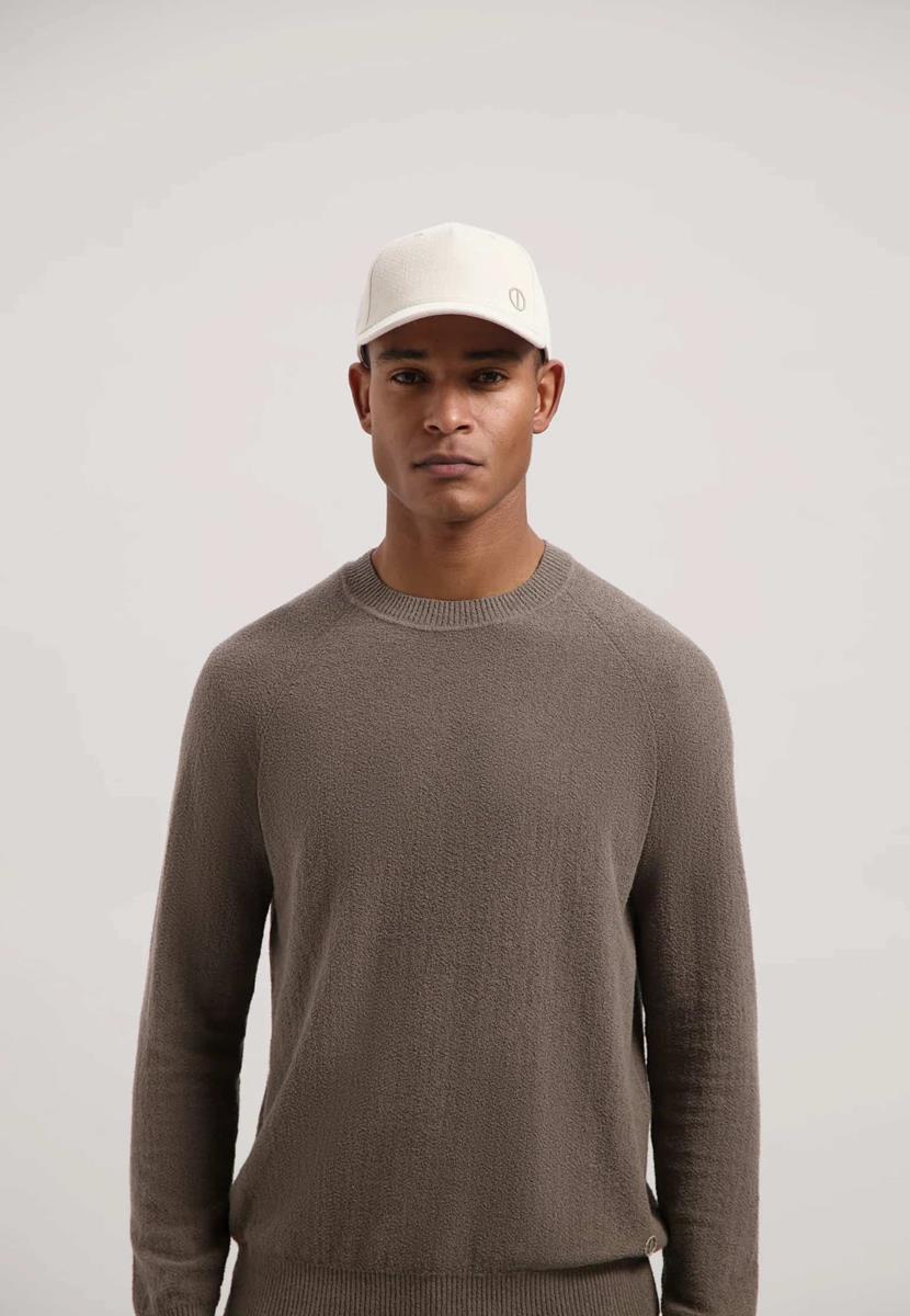 Dstrezzed Pet Crew Beige 1