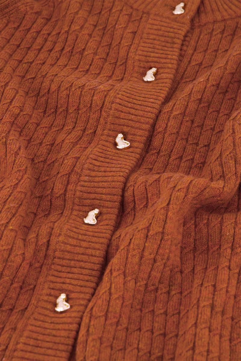 Fabienne Chapot Vest Charlotta  Bruin 3