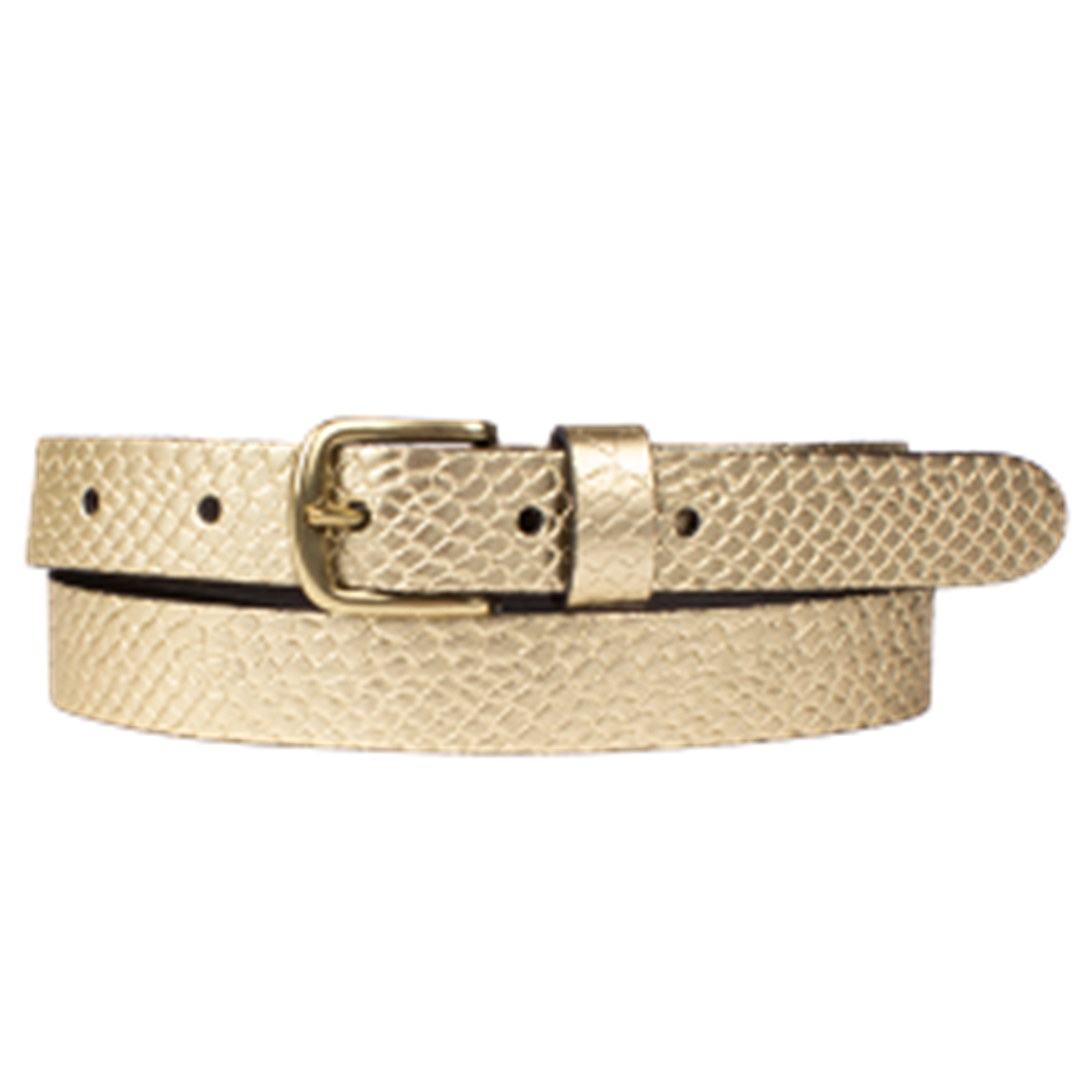 Riem 25058 Riem 25058