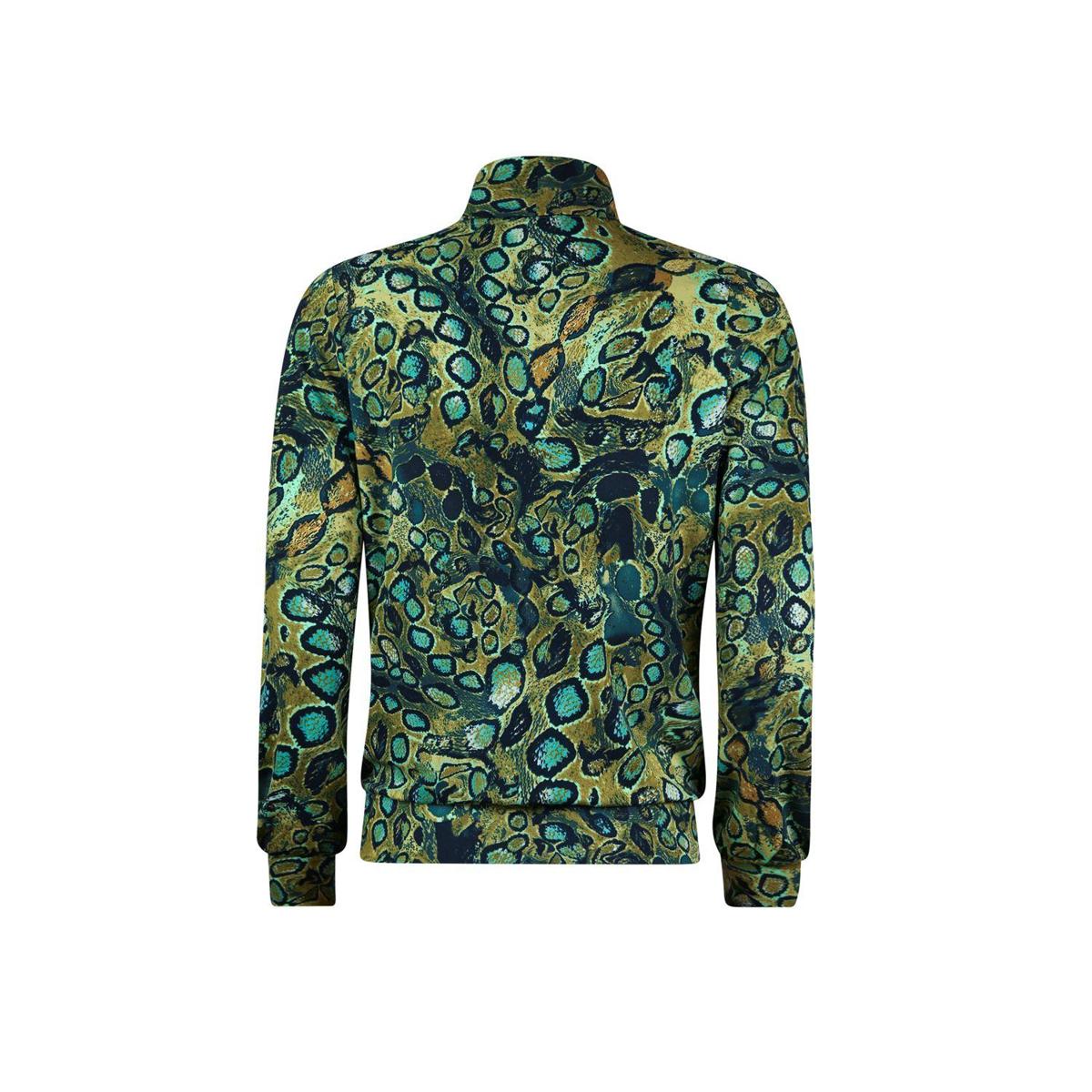 Roberto Sarto Blouse 531194 Groen 2