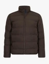Cavallaro Jas 112265004 Bruin 2