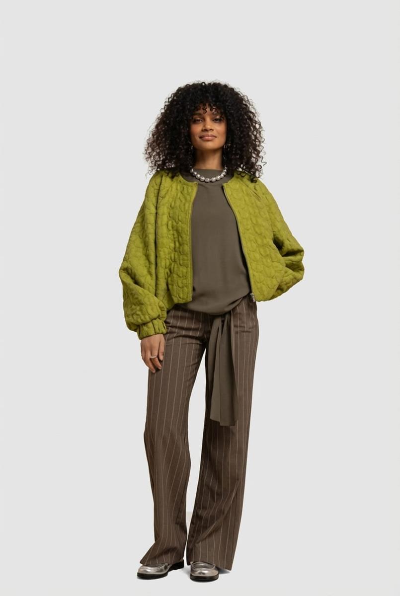 Studio Anneloes Pantalon Marilon Stripe Groen 1