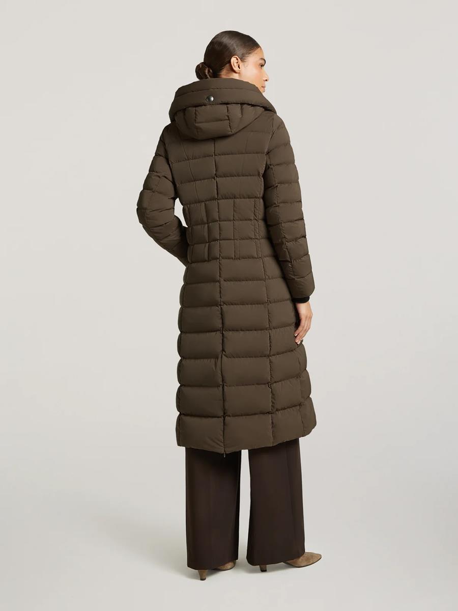 Creenstone Jas Lorraine Bruin 5