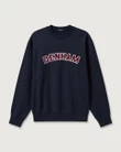 Denham Trui 01-26-07-60-507 Blauw 1