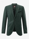 Club of Gents Colbert 20.172S0 / 423942 Groen 1