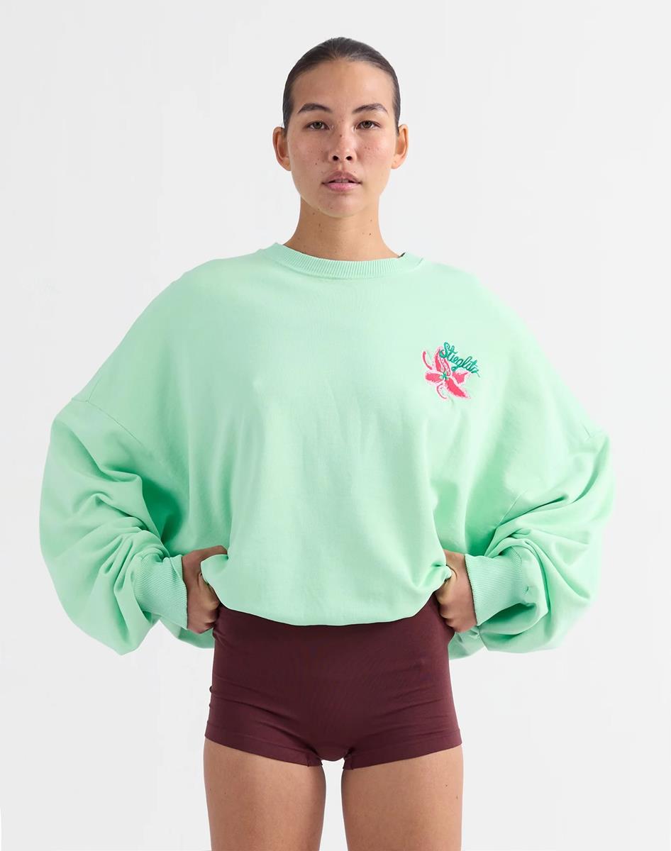 Stieglitz Sweater Novia Groen 1