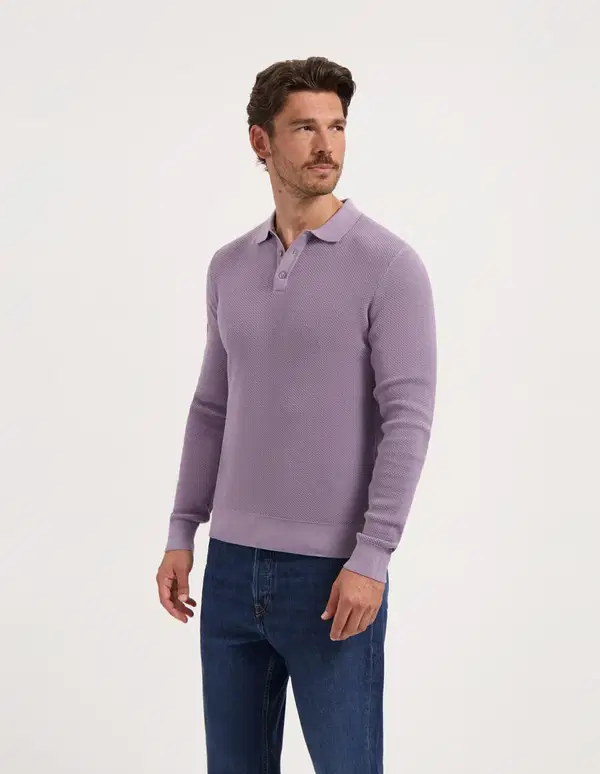 Saint Steve Polo Gunther Paars 1