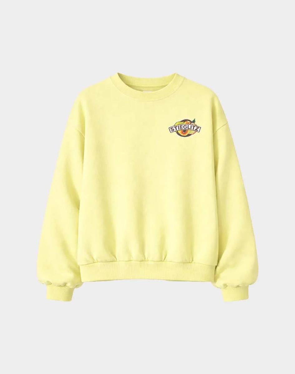 Stieglitz Sweater Cindy Geel 2