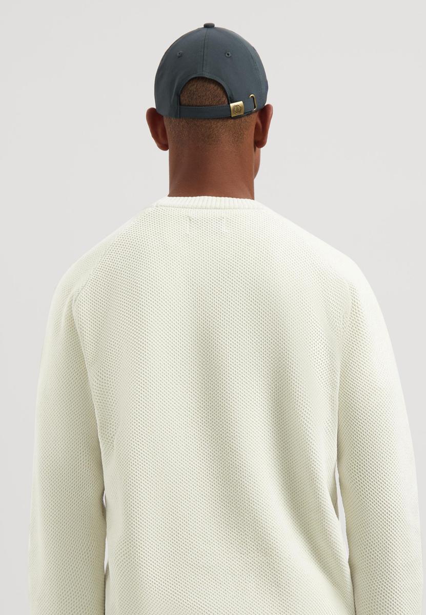 Dstrezzed Pet Cain Blauw 3