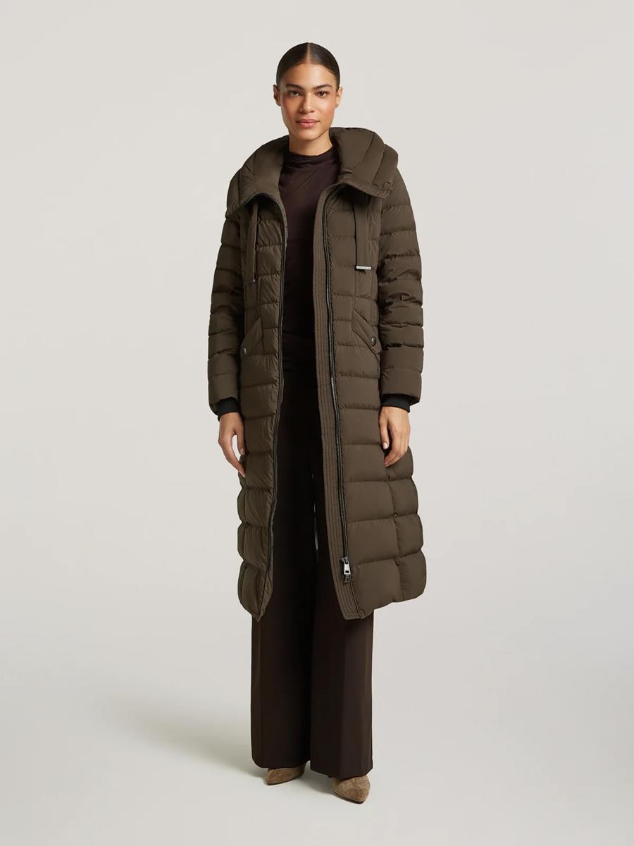 Creenstone Jas Lorraine Bruin 4