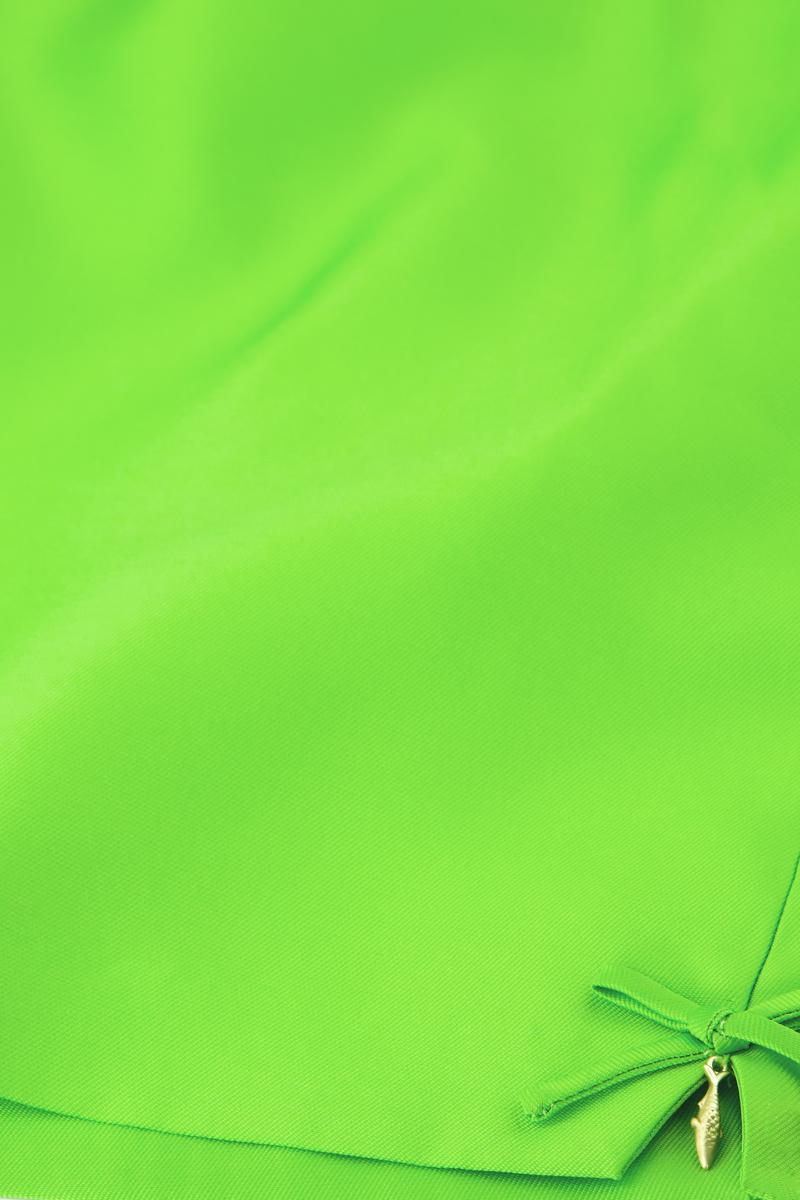 Fabienne Chapot Rok Maggie Skirt Groen 4