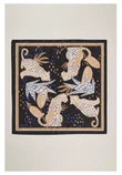 Rabe Sjaal 56-118941 Zwart 3
