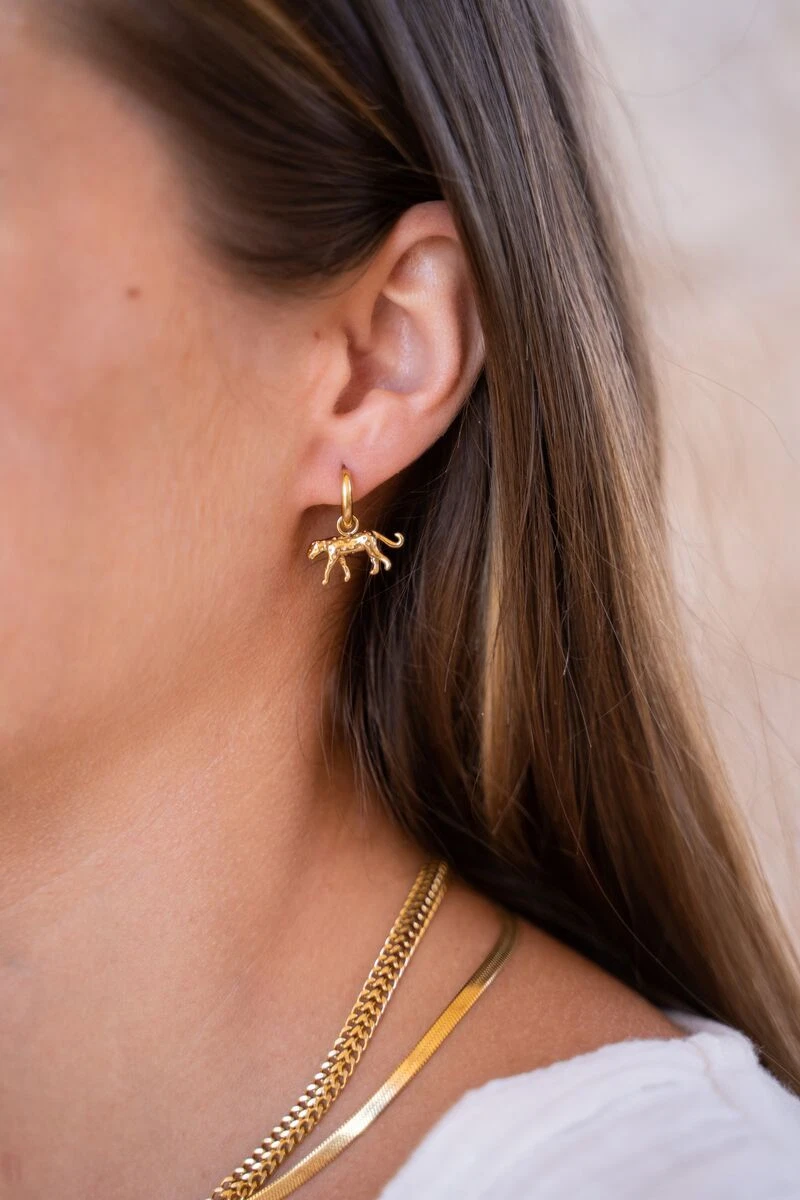 My Jewellery Oorbellen MJ07963 Goud 2