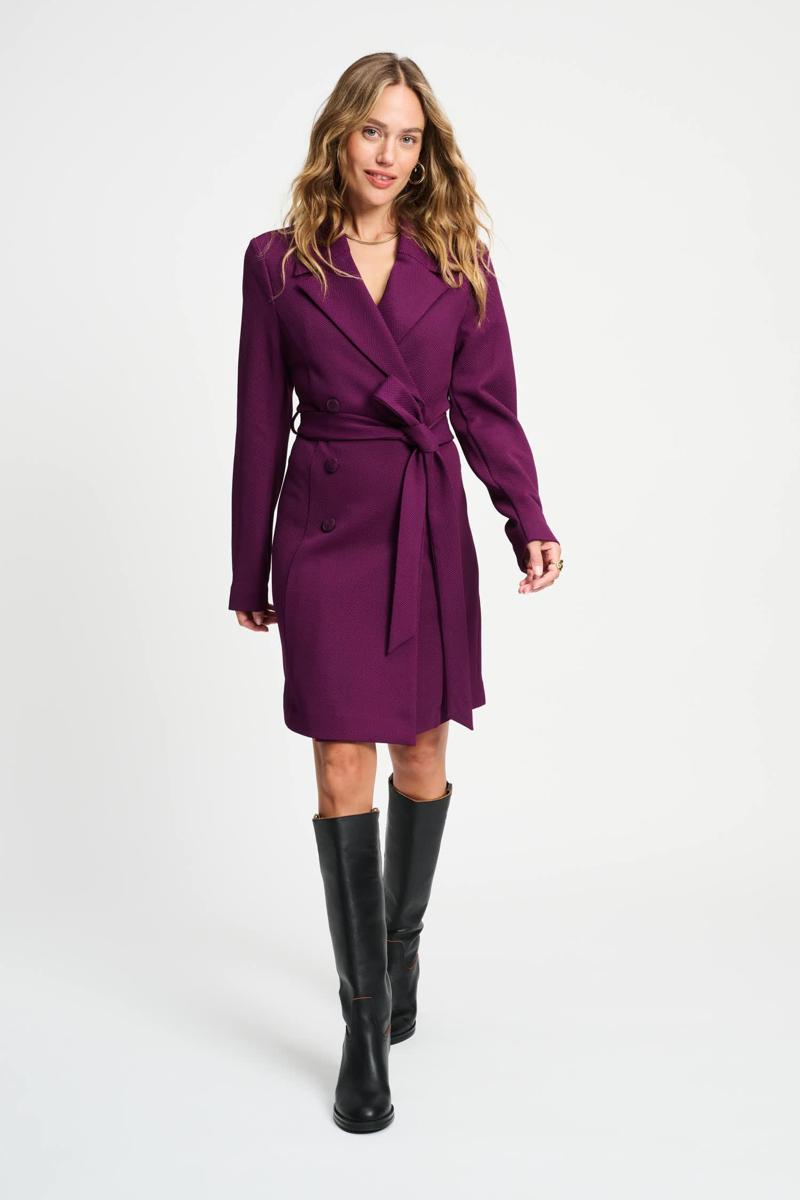 POM Amsterdam Jurk Plum Paars 1