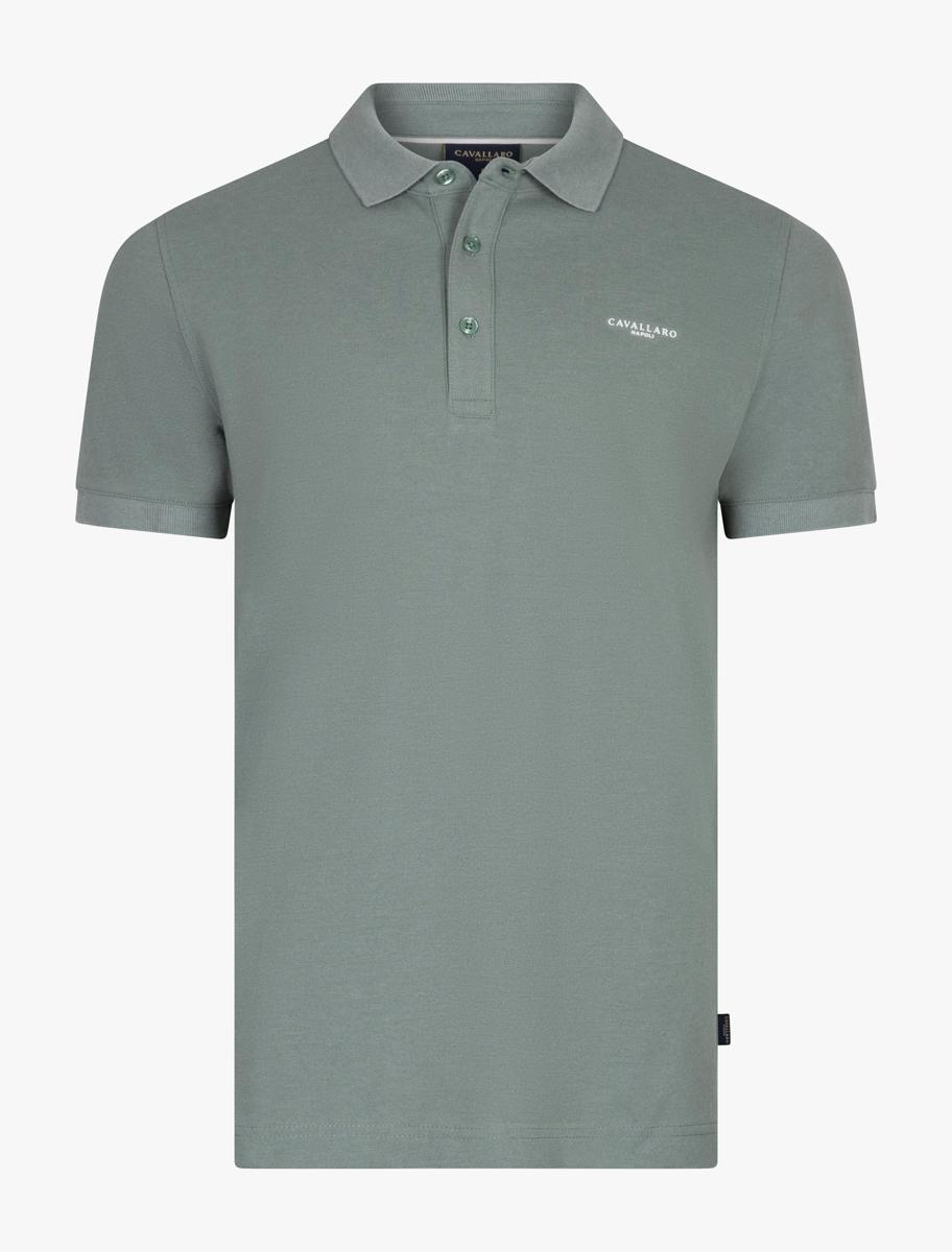 Cavallaro Polo 116261022 Groen 1