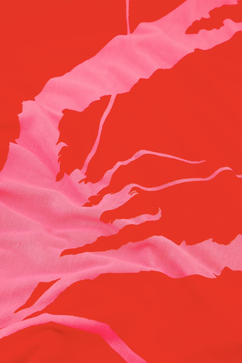 Fabienne Chapot Jurk Sionara Rood 4