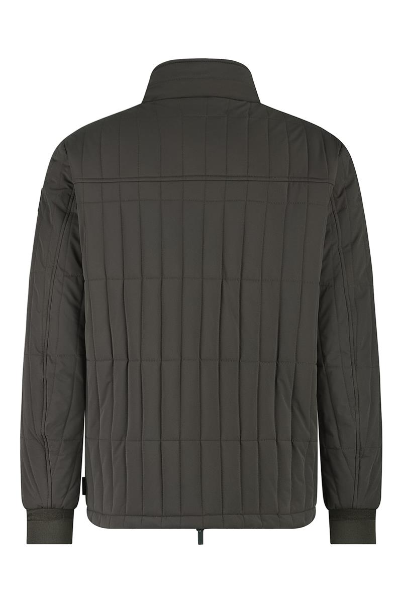 Agiato Jack Marzio Bruin 2