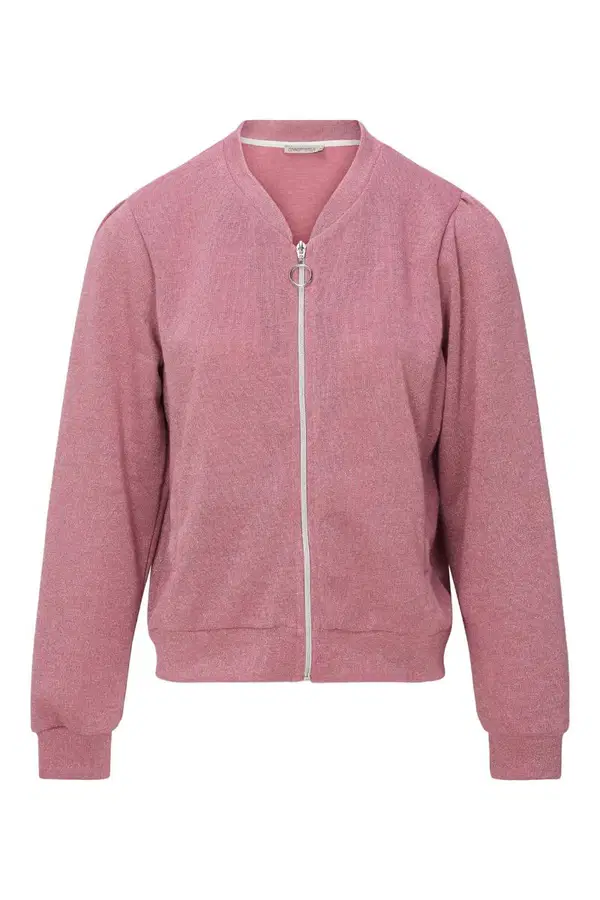 Dreamstar Blazer Lupe Roze 1