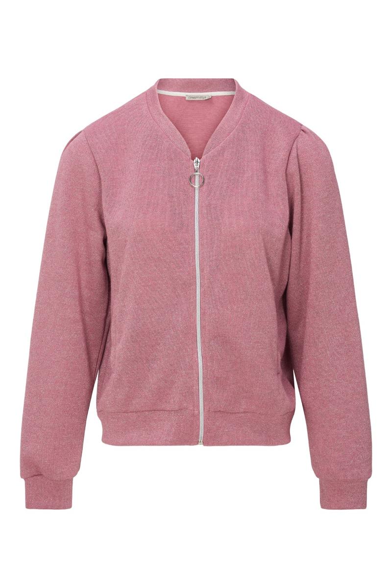 Dreamstar Blazer Lupe Roze 1