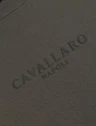 Cavallaro Sweater 120265001 Groen 3