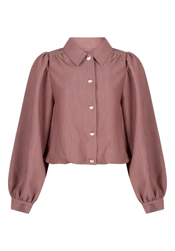 Aaiko Blazer SANDY R PES 345 Roze 1