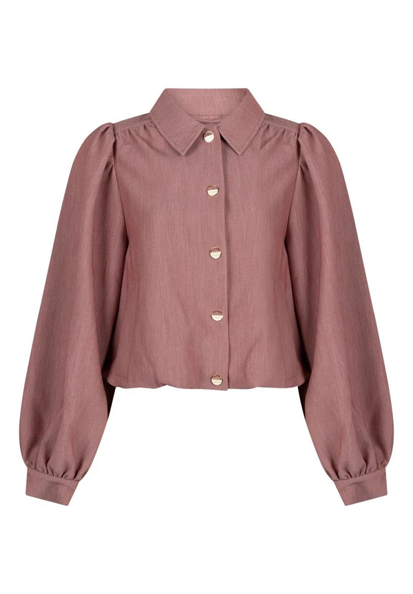 Aaiko Blazer SANDY R PES 345 Roze 1