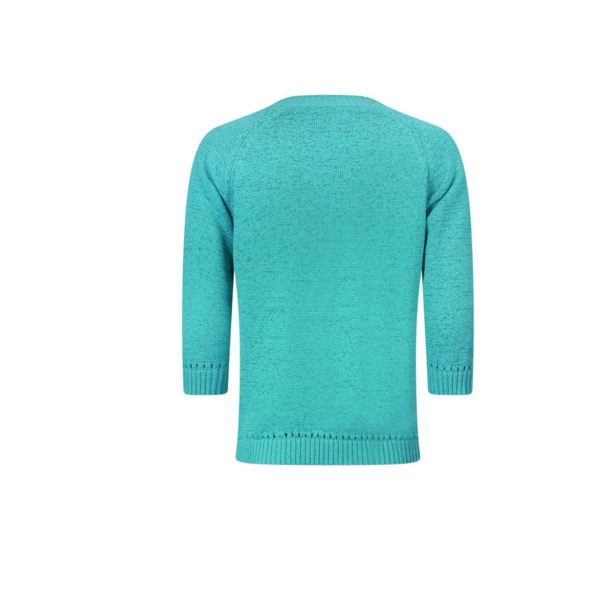 Roberto Sarto Trui 611198 Groen 3