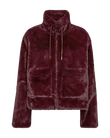 Freequent Jack Fony Rood 1