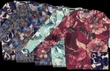 Roberto Sarto T-Shirt 631104 Bruin 2