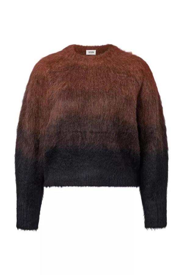 Drykorn Trui Ginnifer Bruin 1