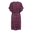 &Co Woman Jurk Axelle Dot Paars 3