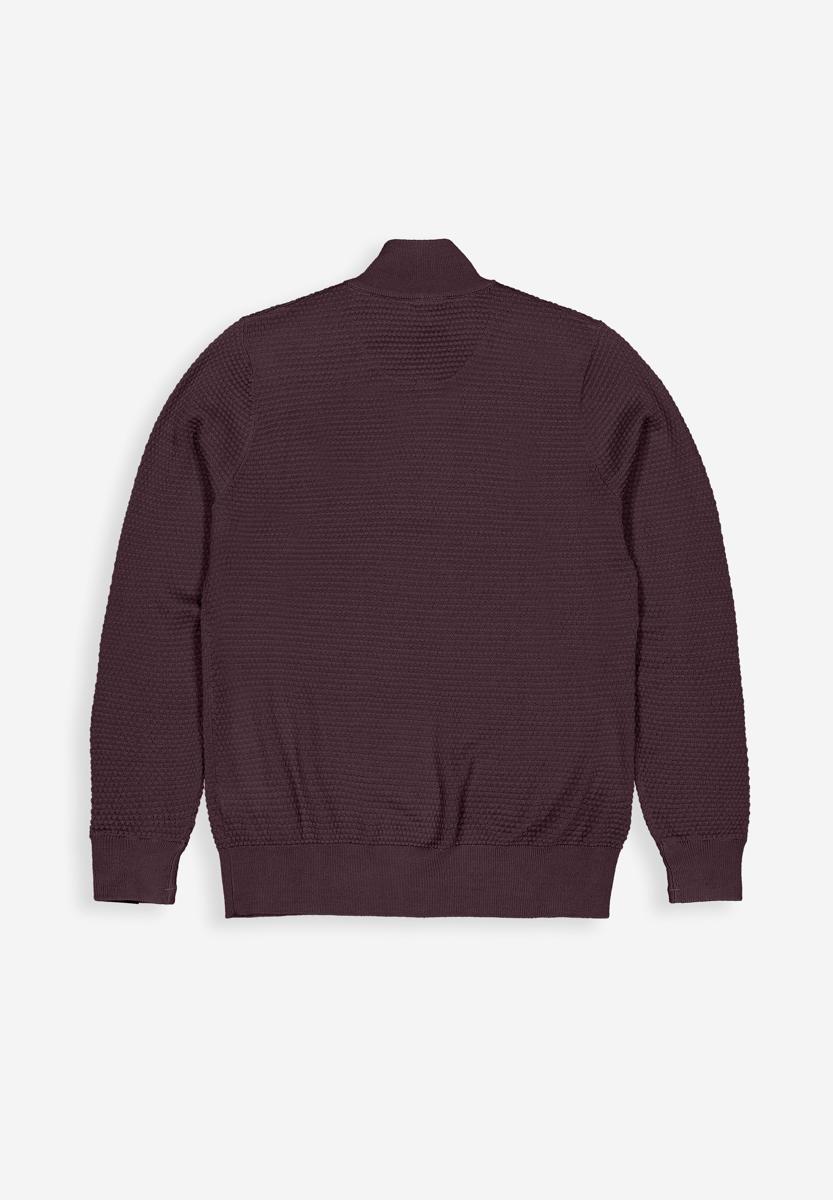 Butcher of Blue Trui M2626027 Paars 2