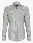 Cavallaro Overhemd 110265002 Groen 3
