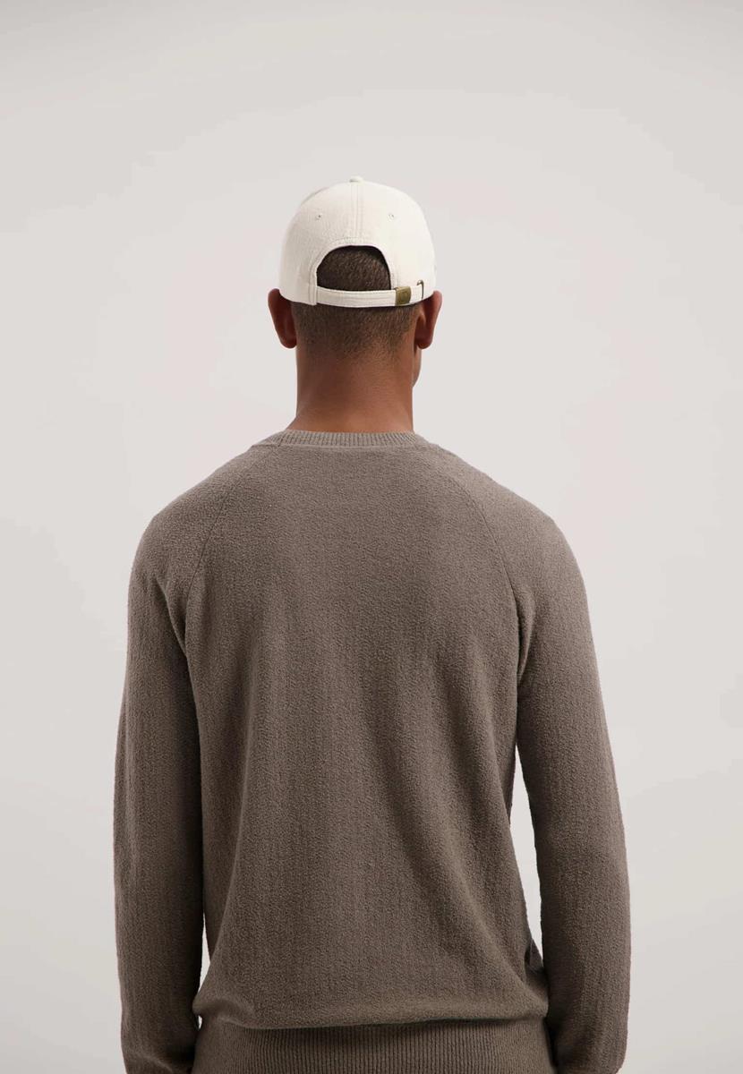 Dstrezzed Pet Crew Beige 3