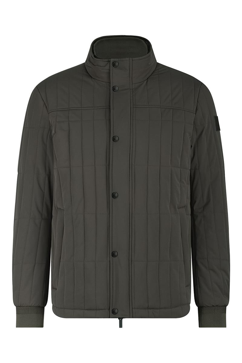 Agiato Jas Marzio Bruin 1