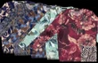 Roberto Sarto T-Shirt 631104 Blauw 2