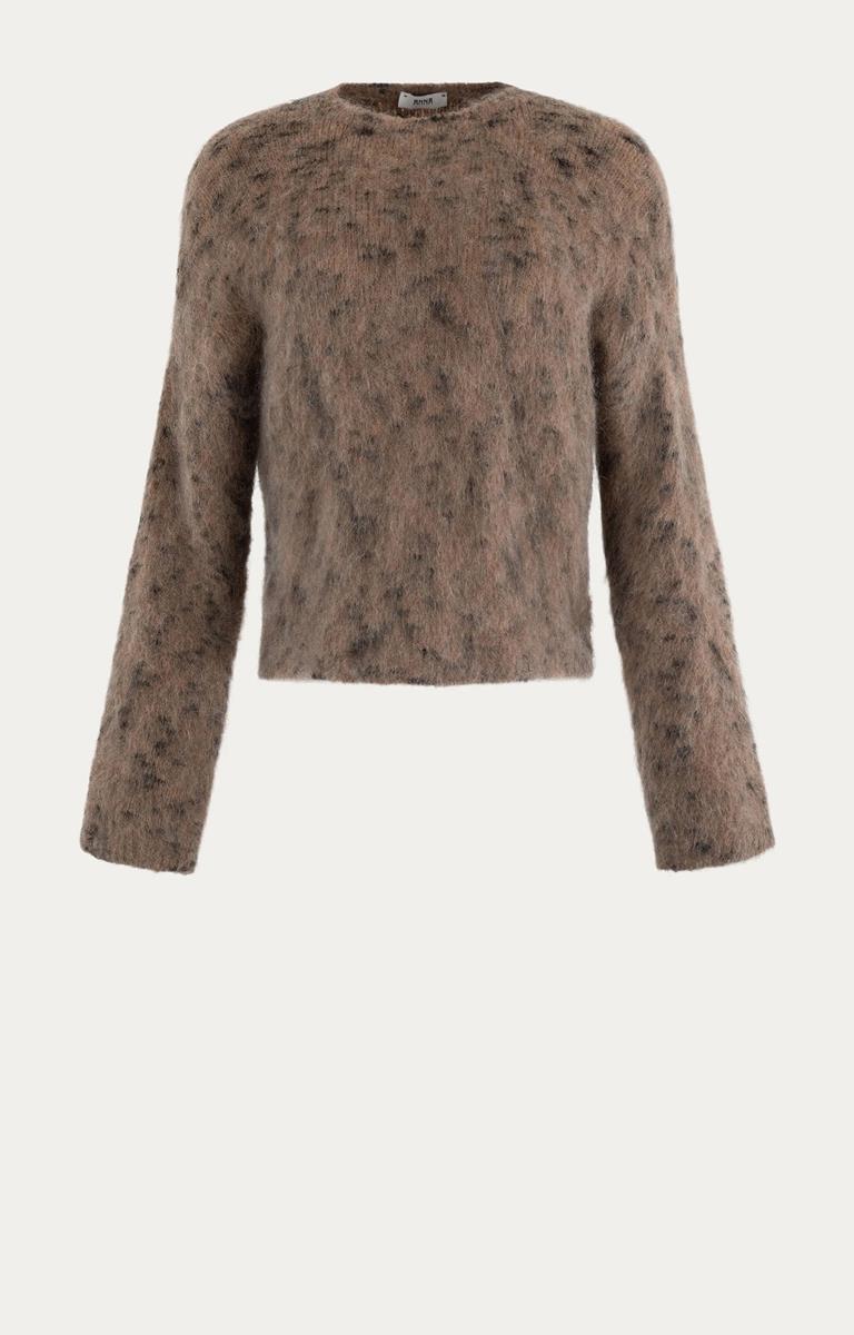 Anna Trui 31a09-03005 Bruin 2